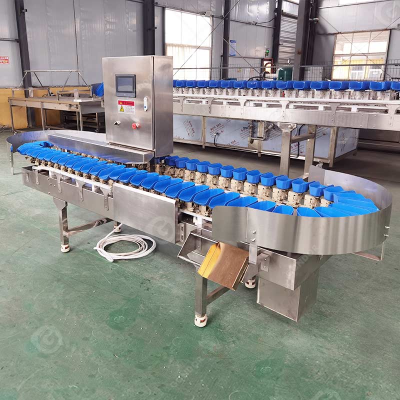 Selezionatrice automatica del peso della frutta