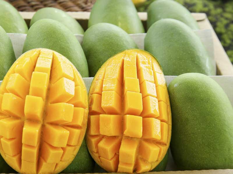 Selezionatrice del peso della frutta per mango