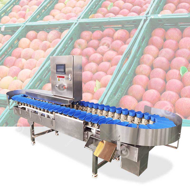 Selezionatrice automatica del peso della frutta
