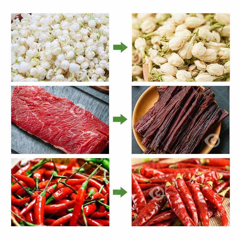 Essiccatoio industriale per frutta e verdura