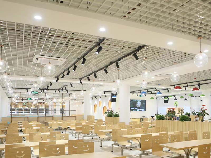 Garlic Clove Separating Machine for University Canteen