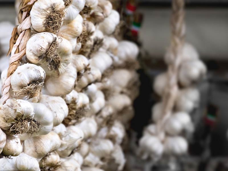 Garlic Peeling Machine For Sauce Factory