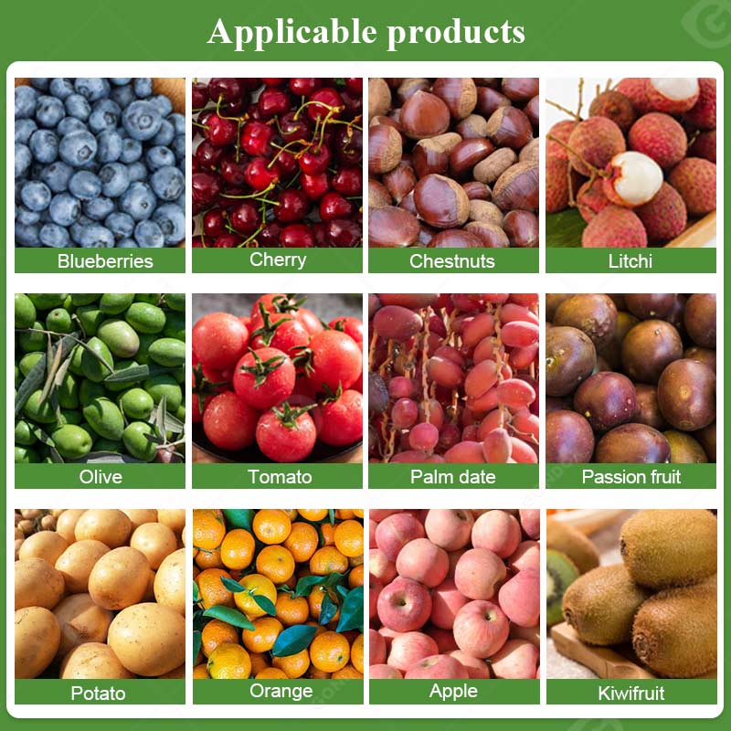 Selezionatrice orbitale della frutta & Selezionatrice di mirtilli