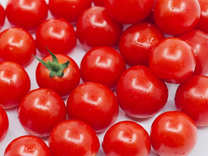 Selezionatrice a rulli per pomodori