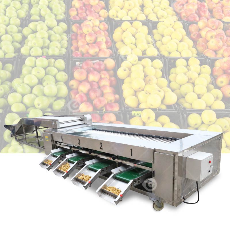 Selezionatrice a rulli per frutta e verdura