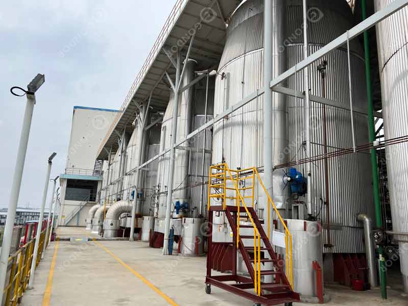 Sugar Production Line Live Shot3