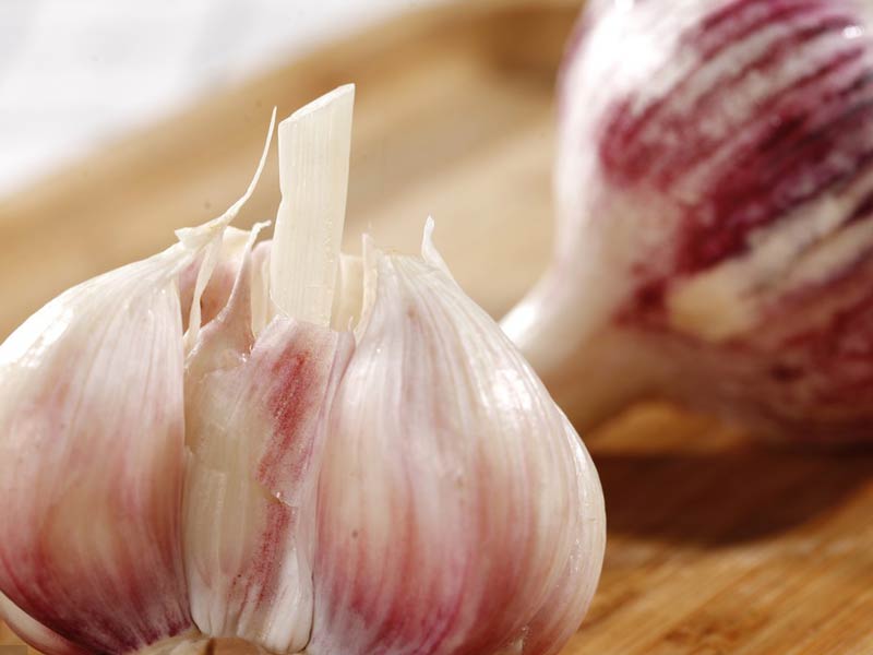 Wet Garlic