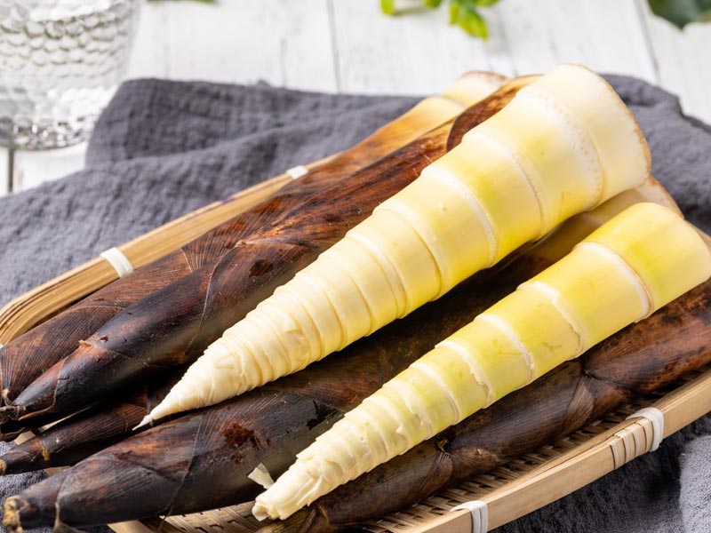 Pelatrice per germogli di bambù