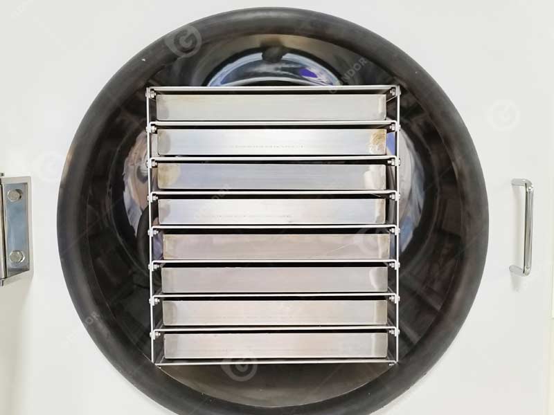 piccolo liofilizzatore sotto vuoto