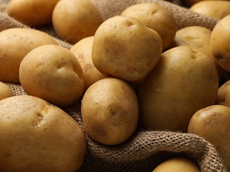 lavatrice a spazzole parallele per patate