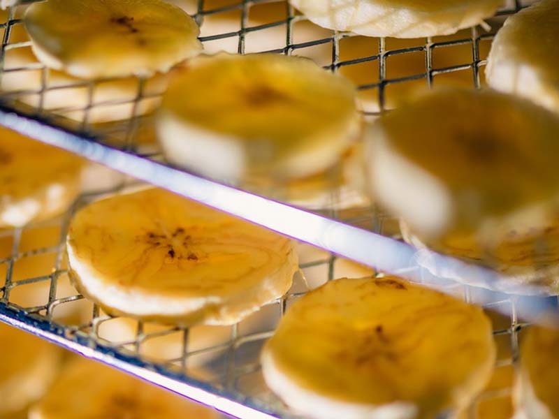 Usine de chips de banane