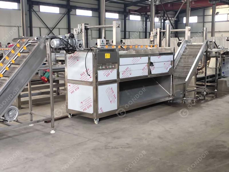 Linea di produzione di patatine fritte Live Shot2