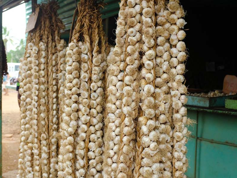 Pelapatate per impianto di lavorazione dell'aglio