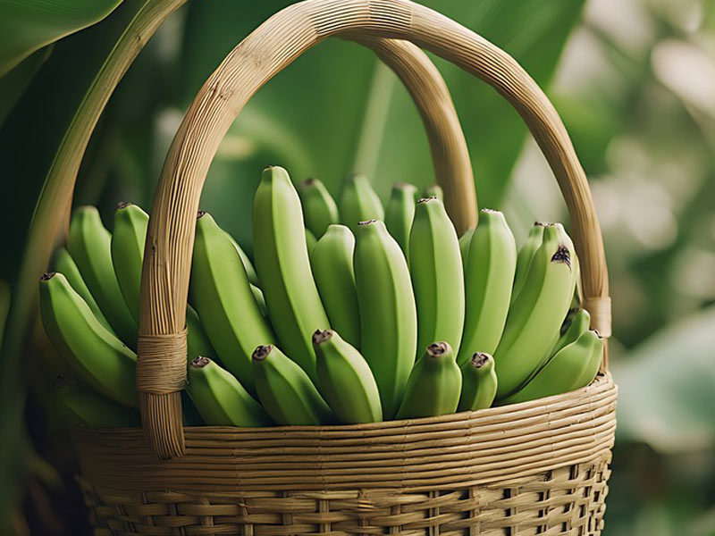 Green Bananas