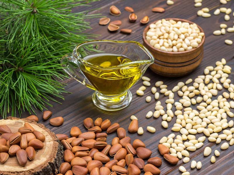 Macchina idraulica per spremitura a freddo dell'olio di semi di pino