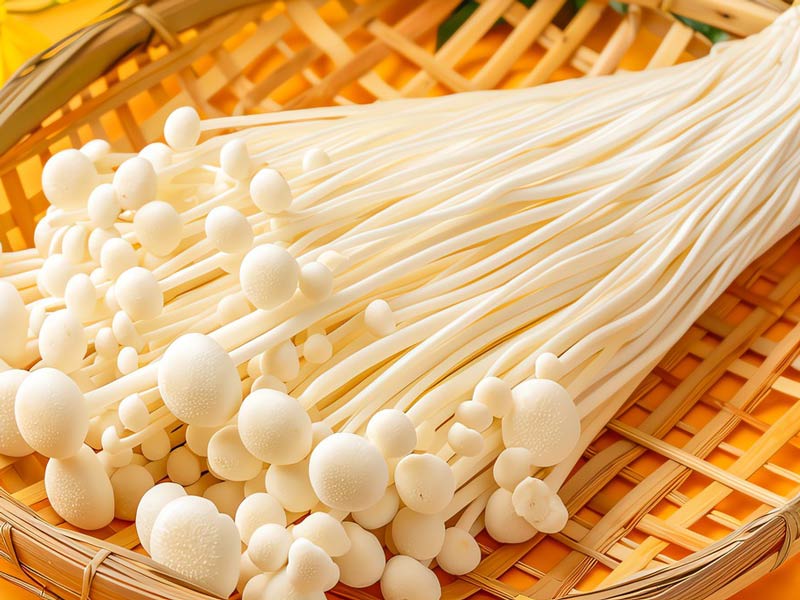 Conteneurs de culture de champignons pour champignons à aiguilles