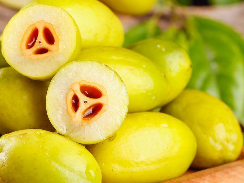 Pressa a vite per l'estrazione dell'olio dalle olive