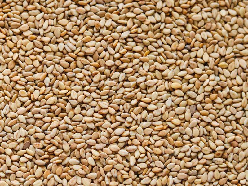 Pressa a vite per l'estrazione dell'olio di sesamo