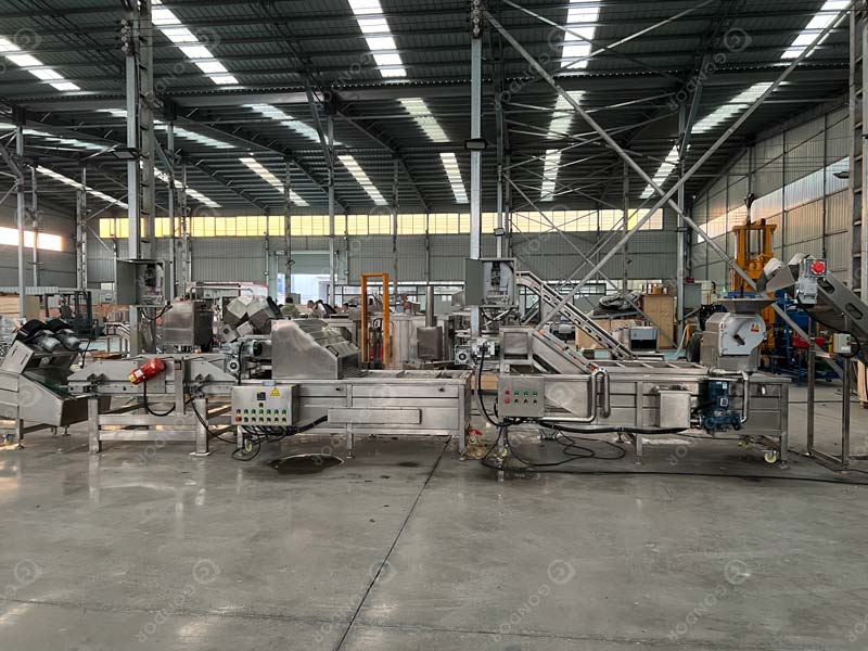 Ligne de production de frites semi-automatique