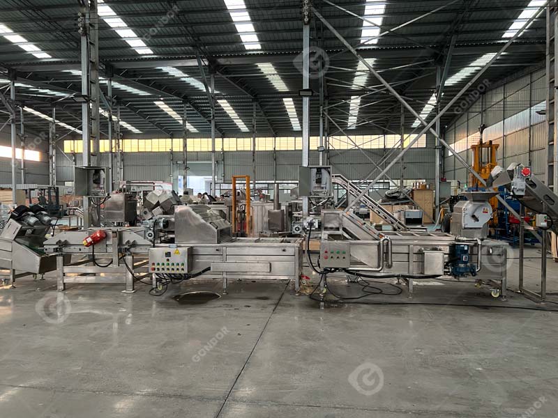 linea di produzione di patatine fritte live shot1