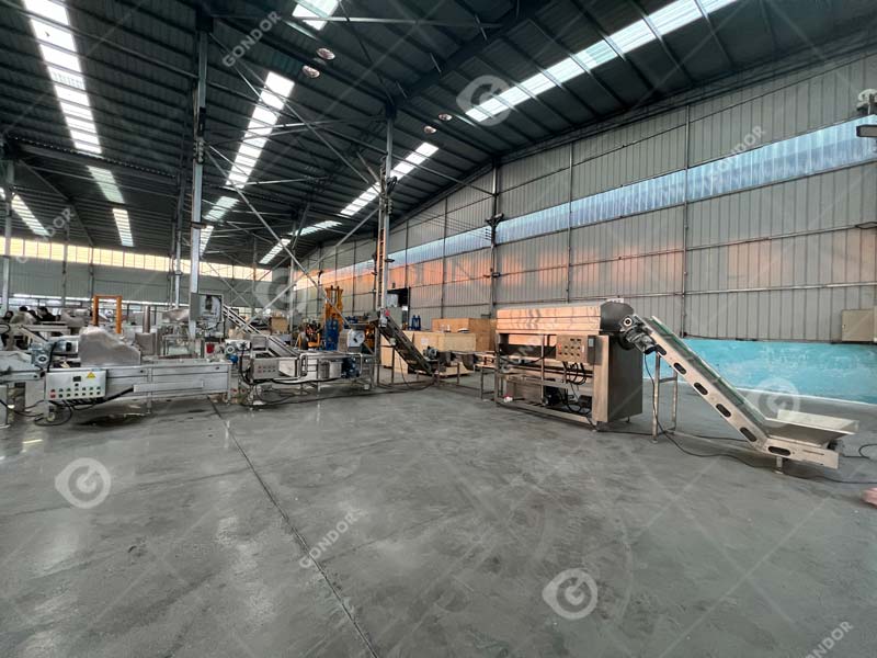 linea di produzione di patatine fritte live shot2