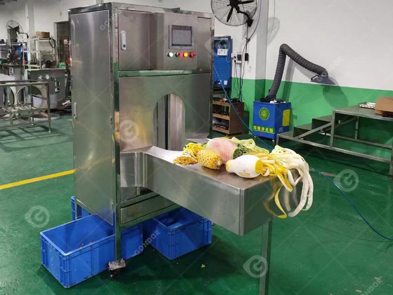 Fruit Peeling Machine Live Shot4