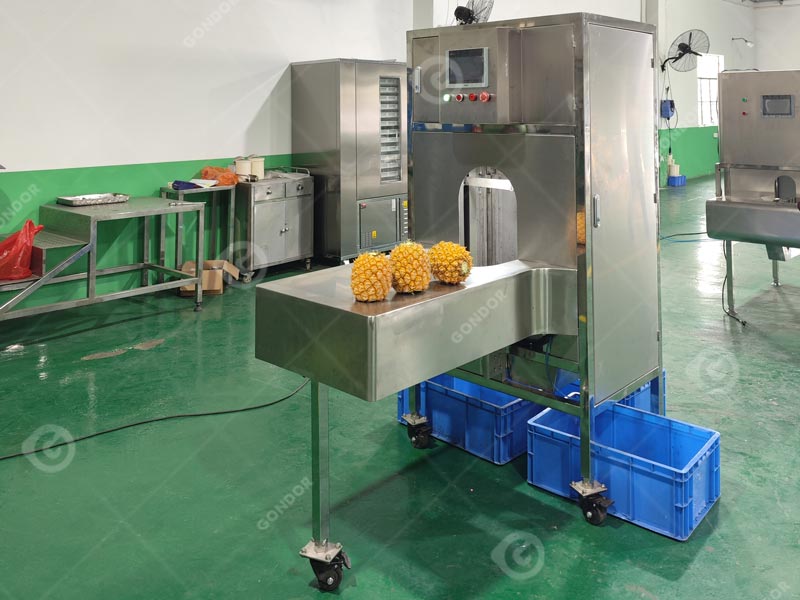 Fruit Peeling Machine Live Shot5