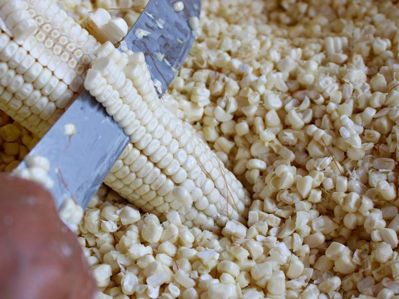Manual Corn Threshing