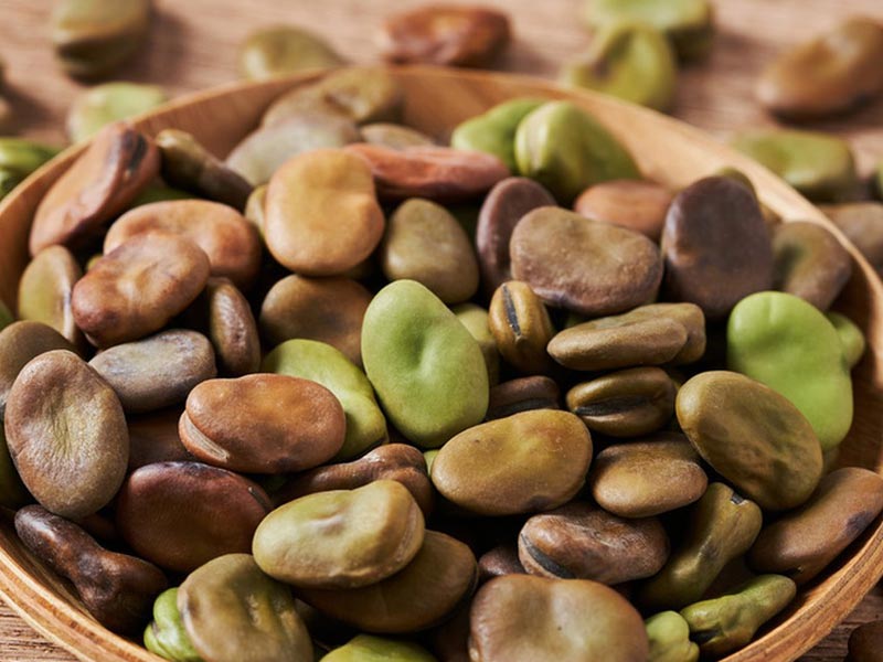 Nut Roaster Machine for Broad Bean