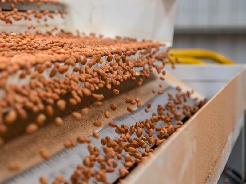 Nuts Factory