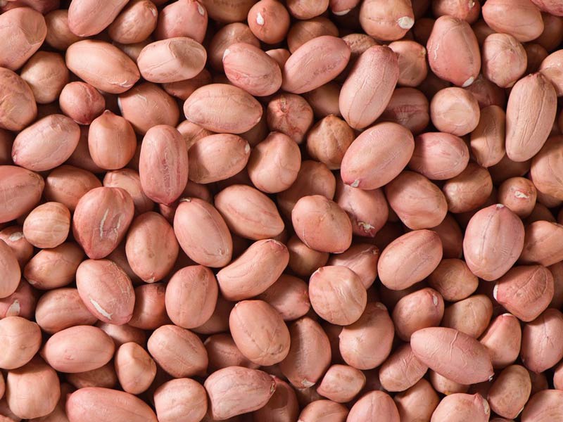Peanut Kernels