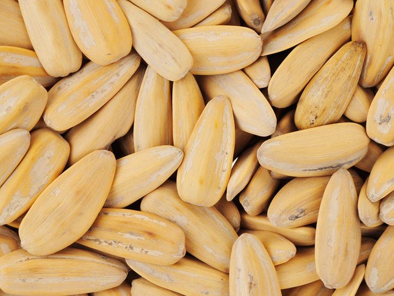 Macchina per tostare arachidi per semi di melone
