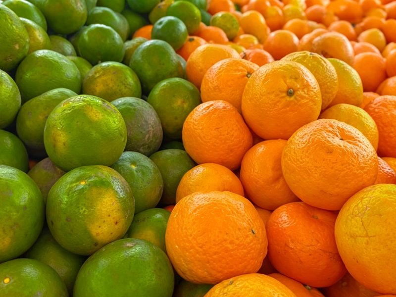 Citrus fruits