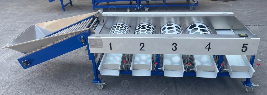 Drum-Type Fruit Sorting Machine display