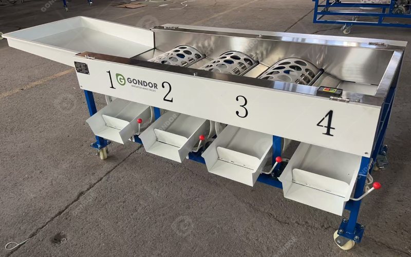 Drum-Type Fruit Sorting Machine right