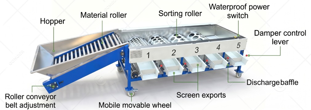 Drum-Type Fruit Sorting Machine structure2
