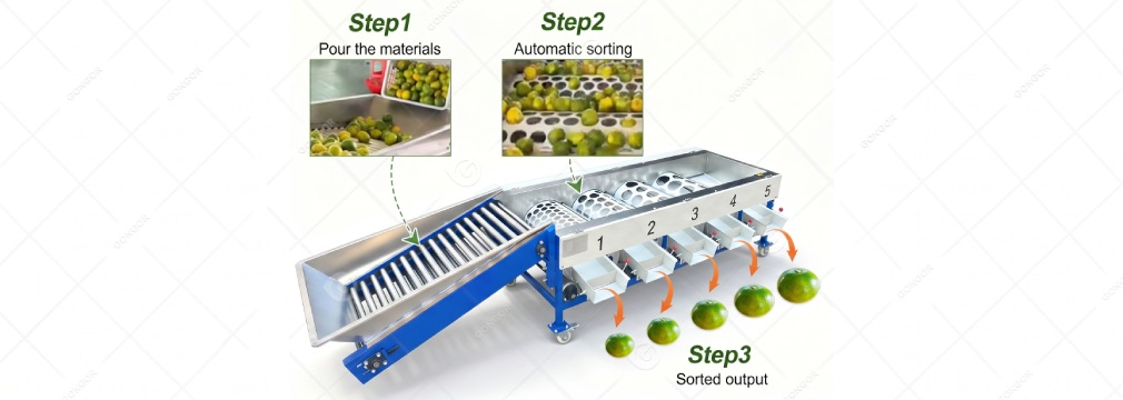 Drum-Type Fruit Sorting Machine workflow2