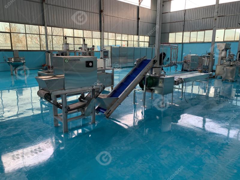 Garlic Peeling Production Line right