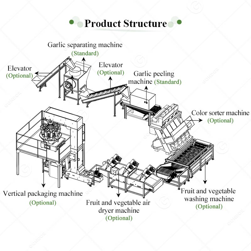 Garlic Peeling Production Line structure1