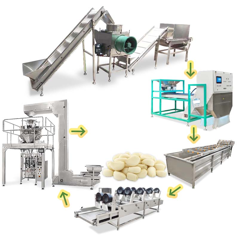 Garlic Peeling Production Line1