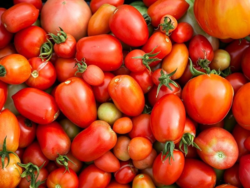tomato