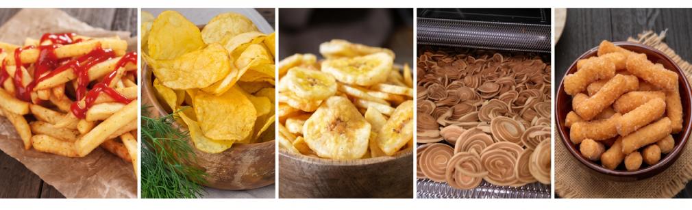 Continuous Fryer applications