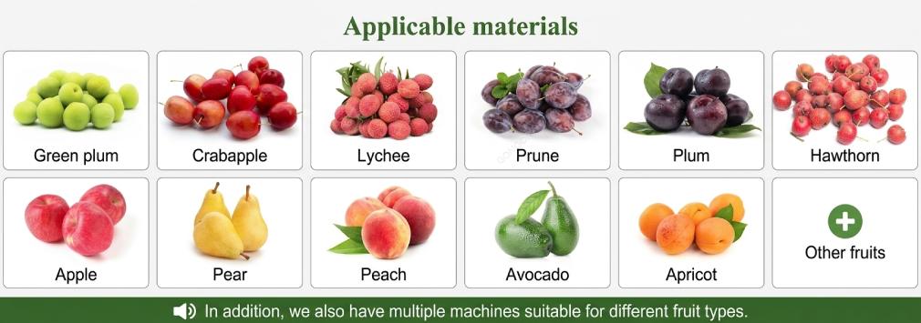 Application de la machine à dénoyauter les fruits