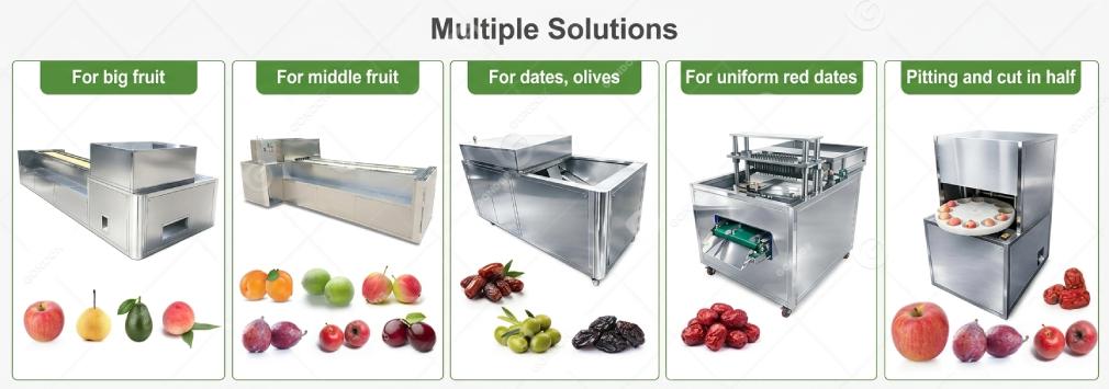 Modèles de machines à dénoyauter les fruits
