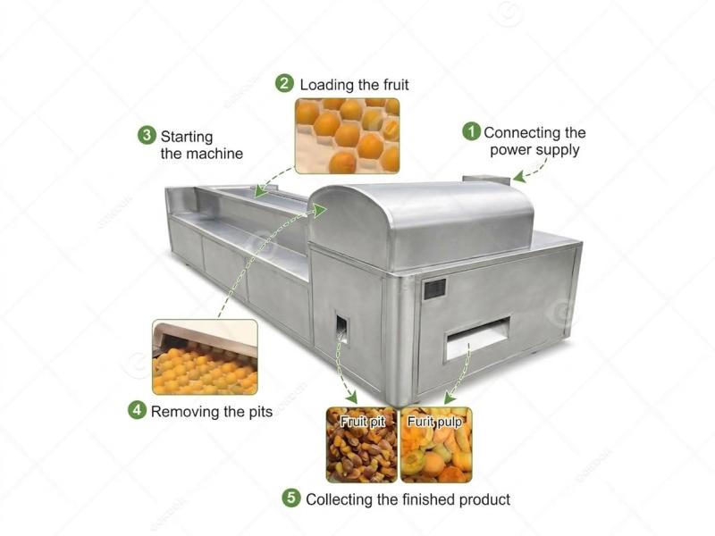 Fruit Pitting Machine workflow