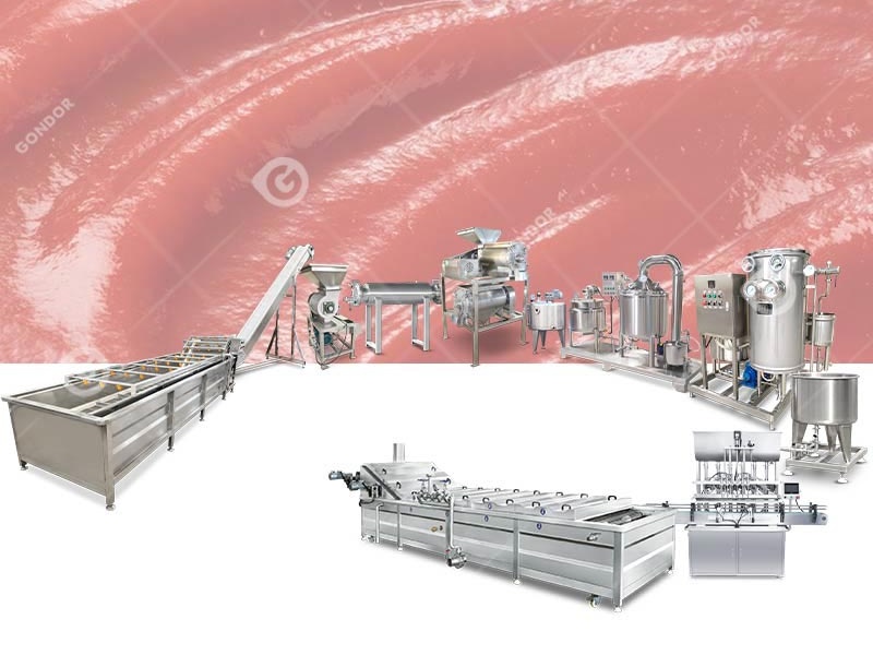 Tomato Ketchup Production Line0904